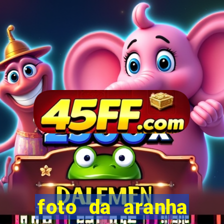 foto da aranha mais feia do mundo